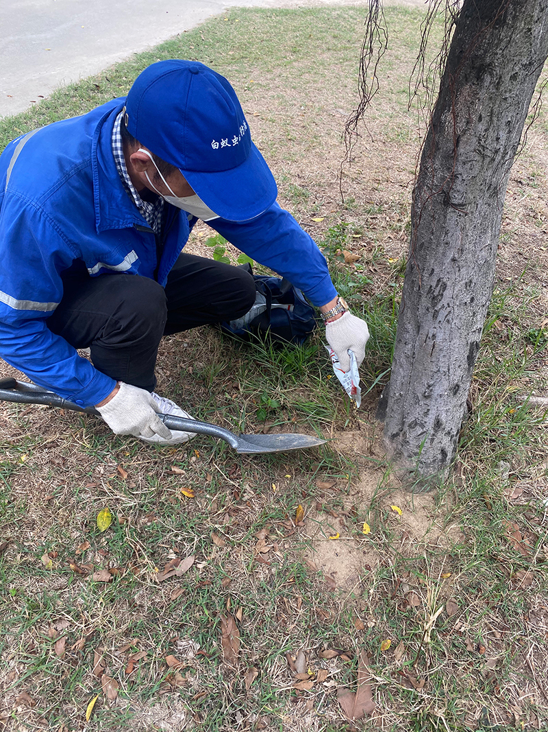 客户案例