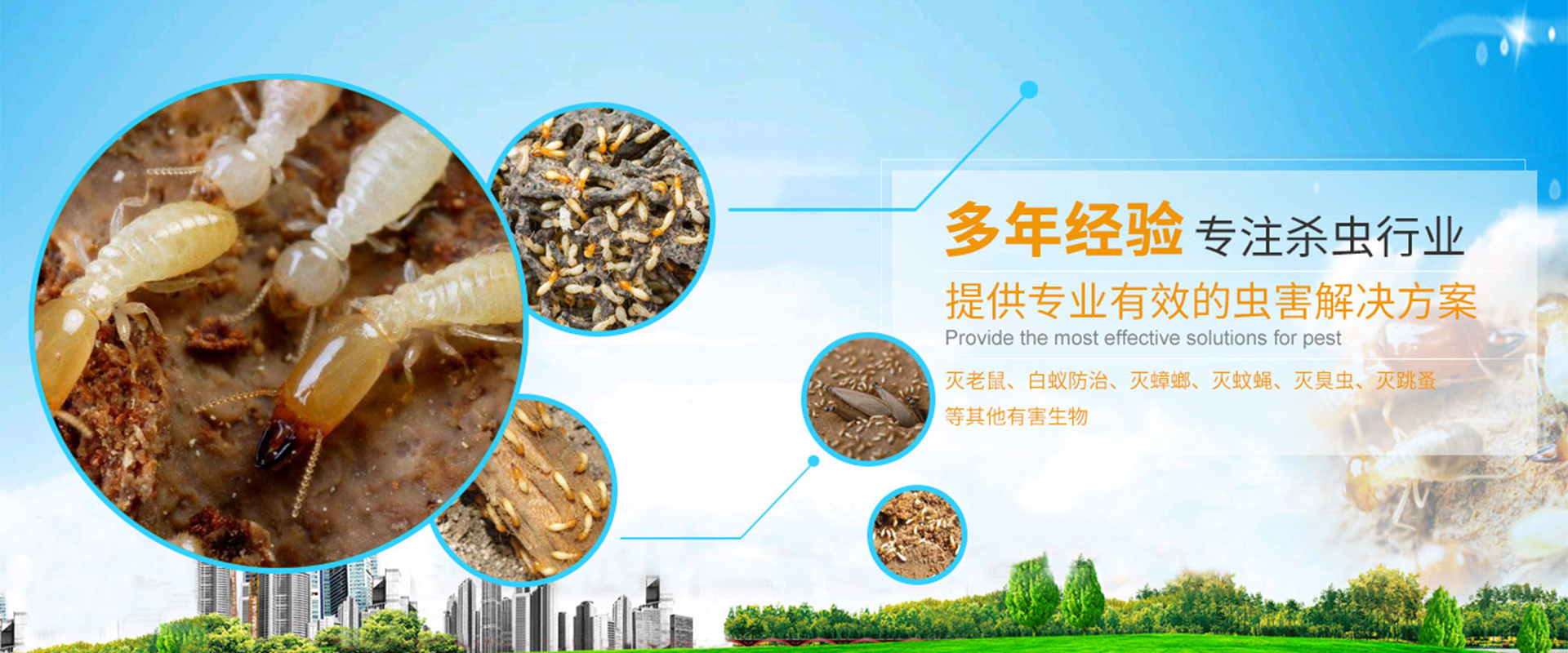 通栏图片